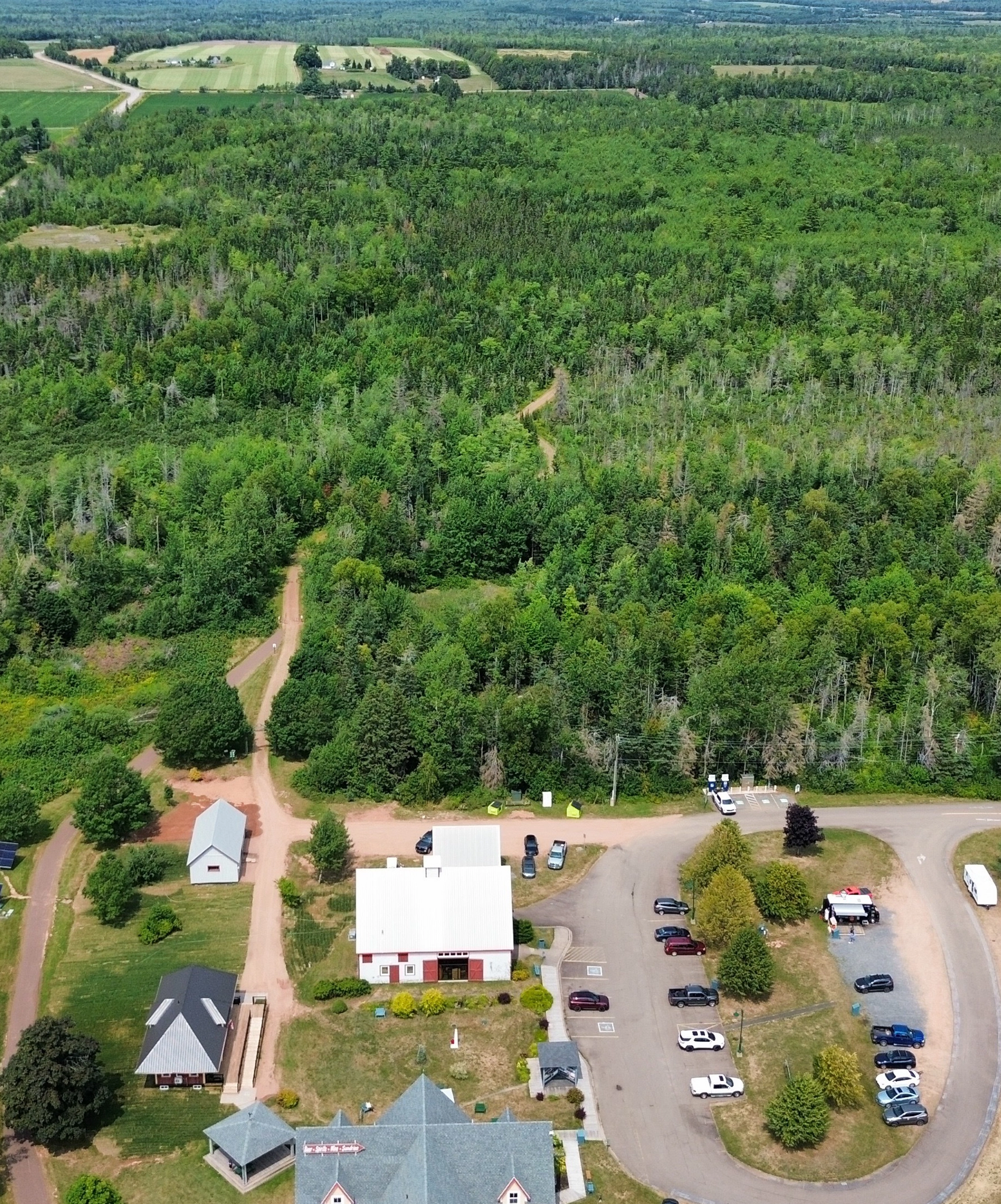 Wood Island Cafe Express